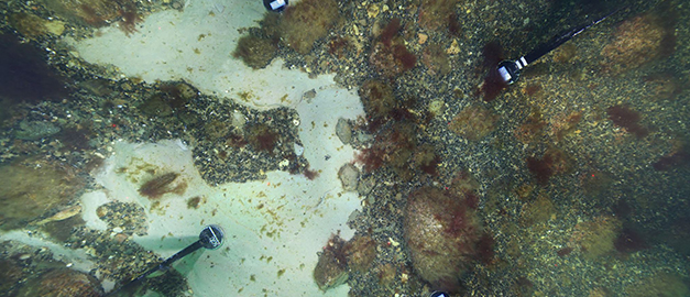 Foto av havsbotten med hård lera.